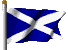 Scotland's flag....St.Andrew's Cross......The Saltire